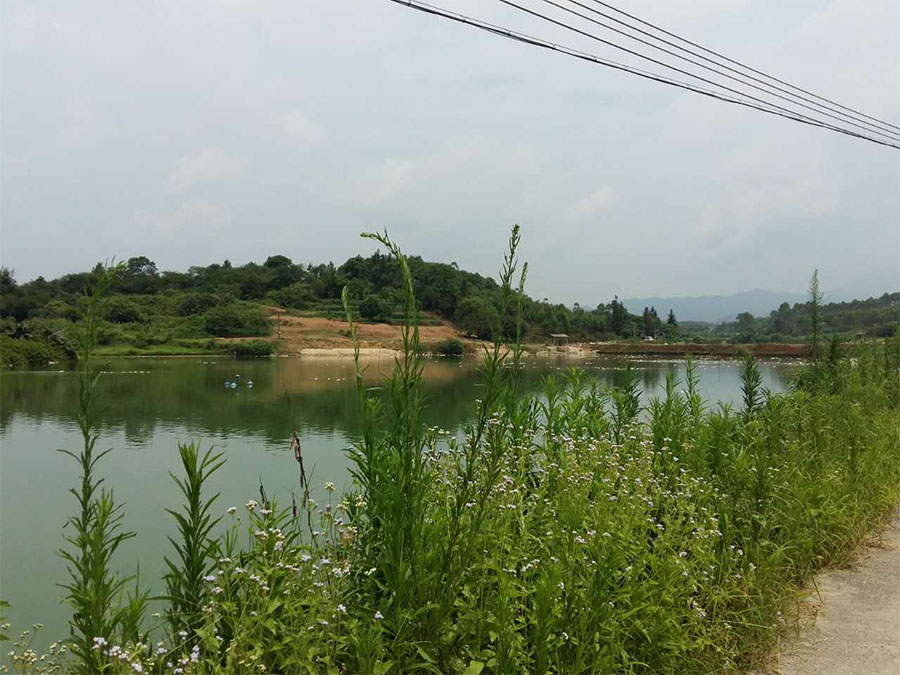 肇慶老泗塘村