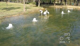 江門鶴山公園