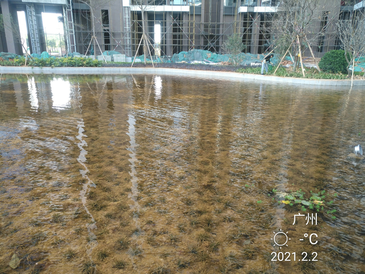 廣州都湖國際